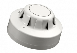 Apollo 55000-317APO